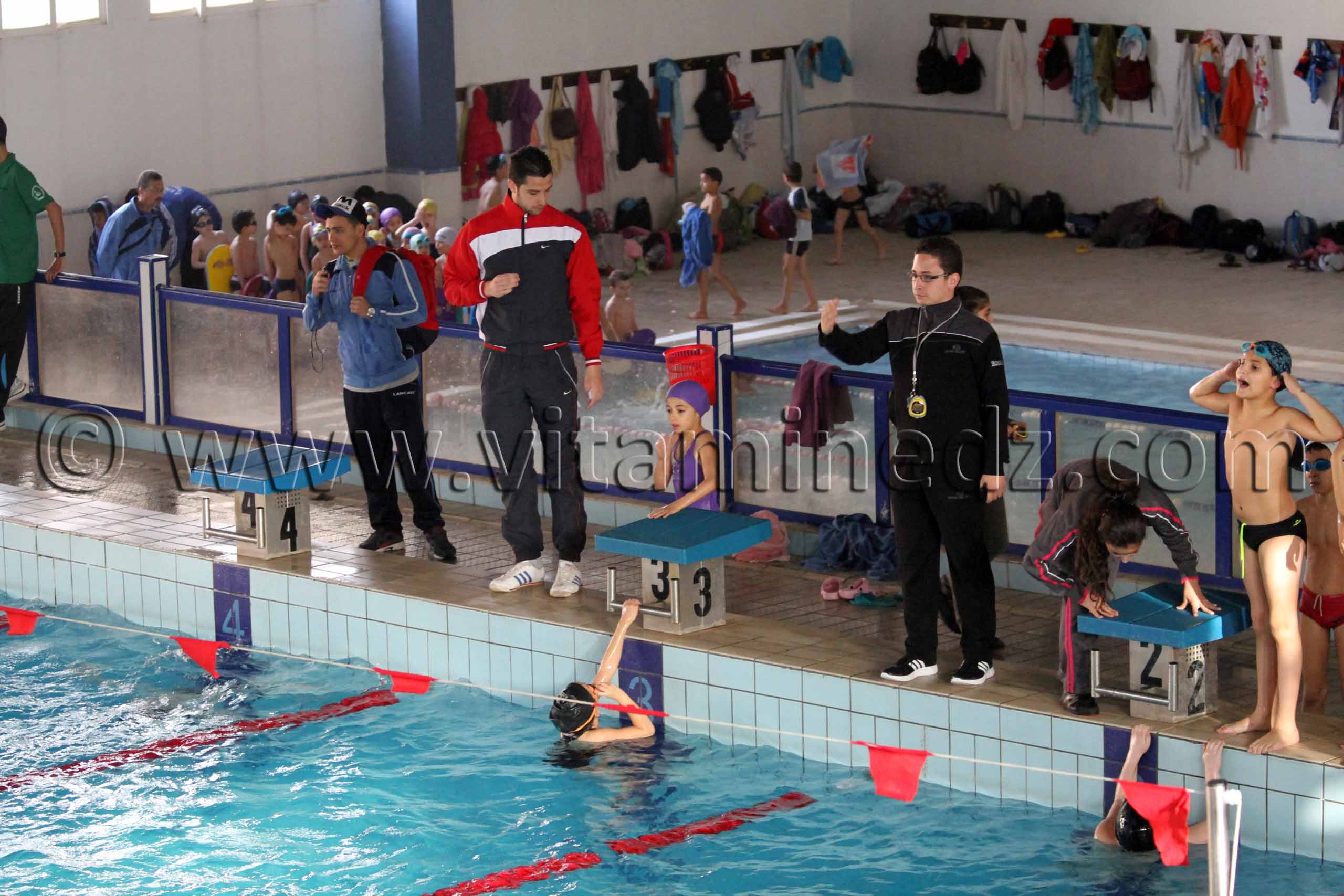 Piscine de Tlemcen - Natation exhibition régionale (Enfants de Tlemcen, Sebdou, Remchi)