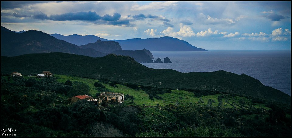 Seraïdi (Annaba) - PROJET DE PARC NATIONAL DE L’EDOUGH: L’offensive des écologistes