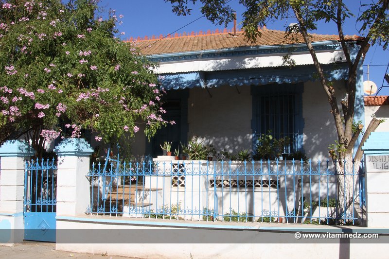 Ain Temouchent, Chabat El Lham avec ses belles villas et fermes coloniales