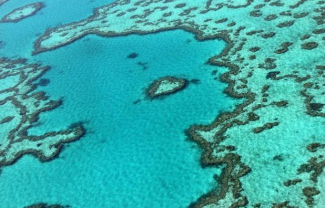 Planète - L'Australie présente un plan de préservation sur 35 ans de la Grande barrière de corail