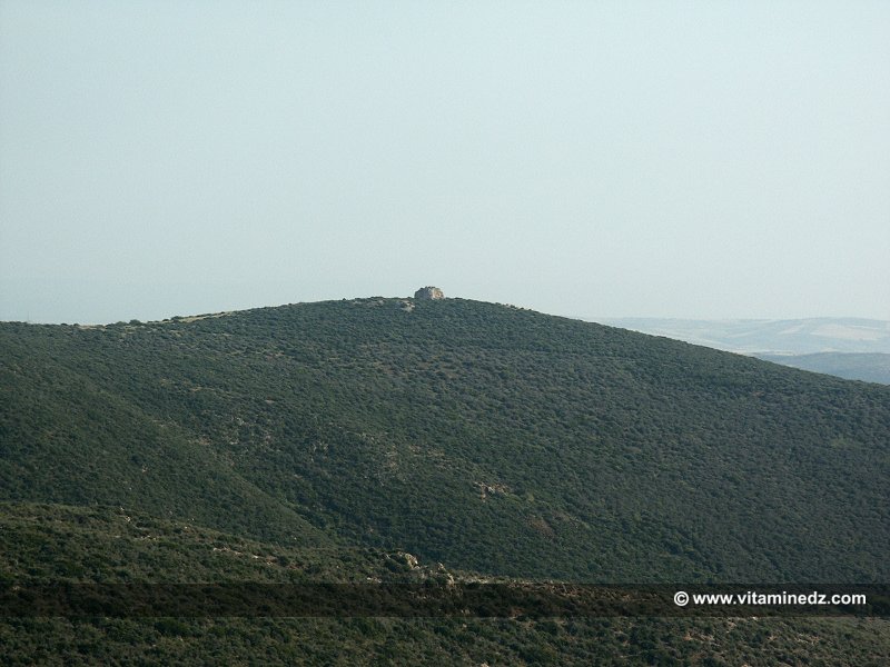 Mausolée royal  de Syphax roi de Siga (Wilaya Aïn Témouchent)