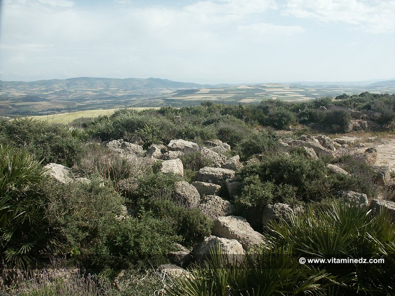 Le tombeau du roi Syphax dans un état alarmant