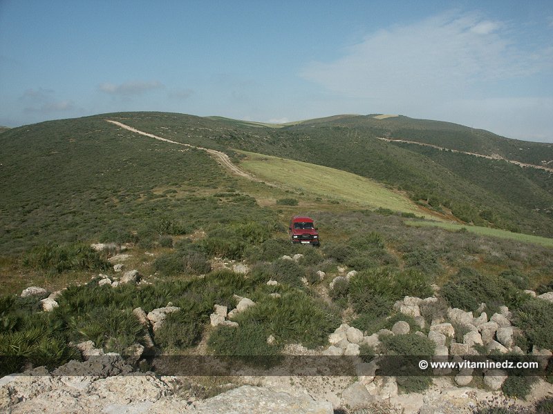 Mausolée royal de Syphax roi de Siga (Wilaya Aïn Témouchent)