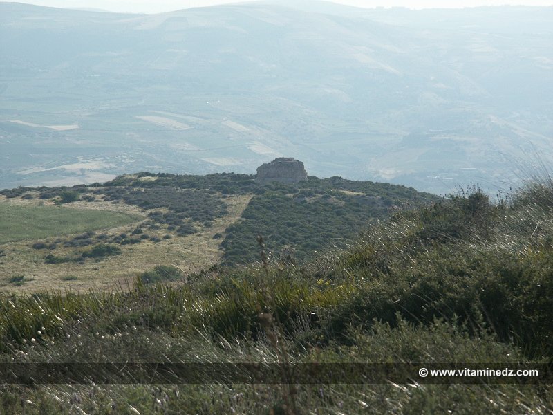 Siga, capitale du roi Syphax MEMOIRE ANKYLOSEE