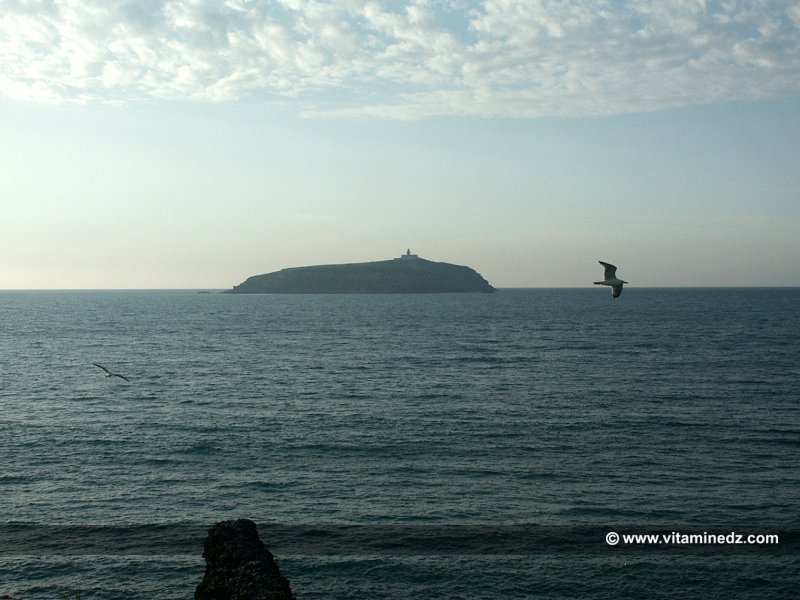 L'ile de Rachgoun, endroit touristique par excellence