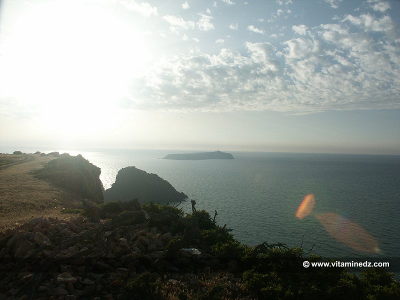 L'ile de Rachgoun à partir d'El Bradej