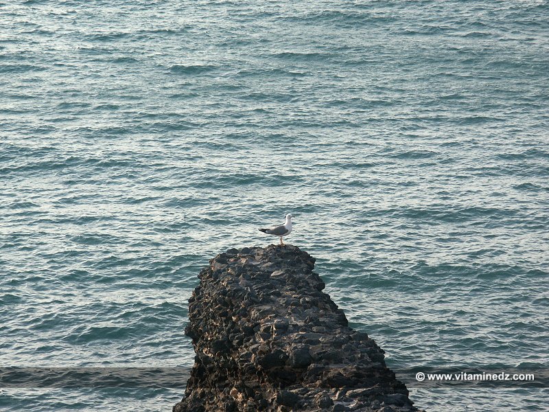 Madrid Plage, Béni Saf, tourisme