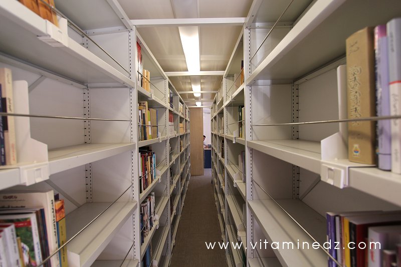 Bibliobus à Tlemcen, dans le cadre du Festival Lire en fête