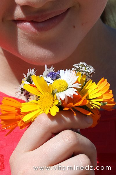 Le Printemps de Tlemcen, Fleurs sauvages