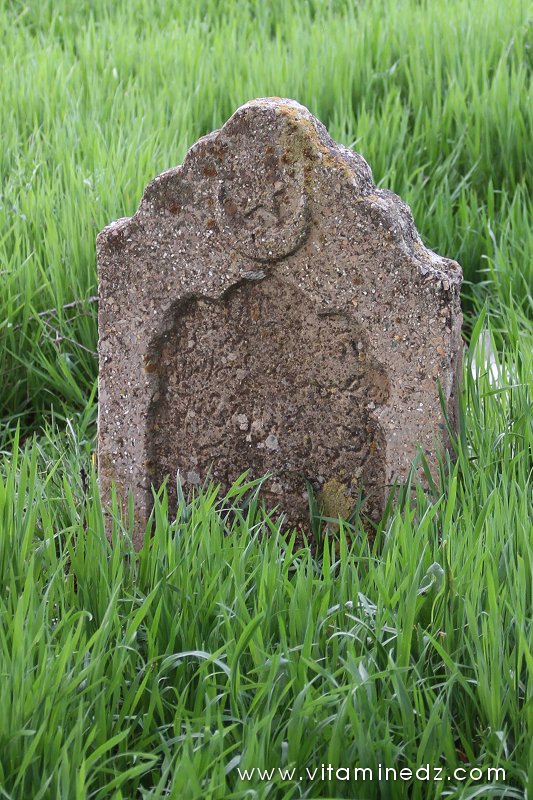 Cimetière et Darih (Mausolée) Sidi Afif Eddine Ettilimssani (13e siecle)