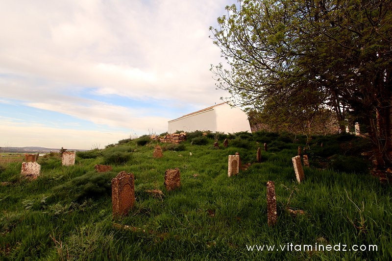Cimetière et Darih (Mausolée) Sidi Afif Eddine Ettilimssani (13e siecle)