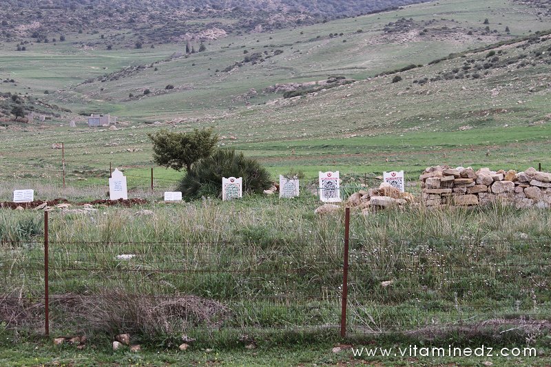 CimetièreBeni Ouahiane, Tirni