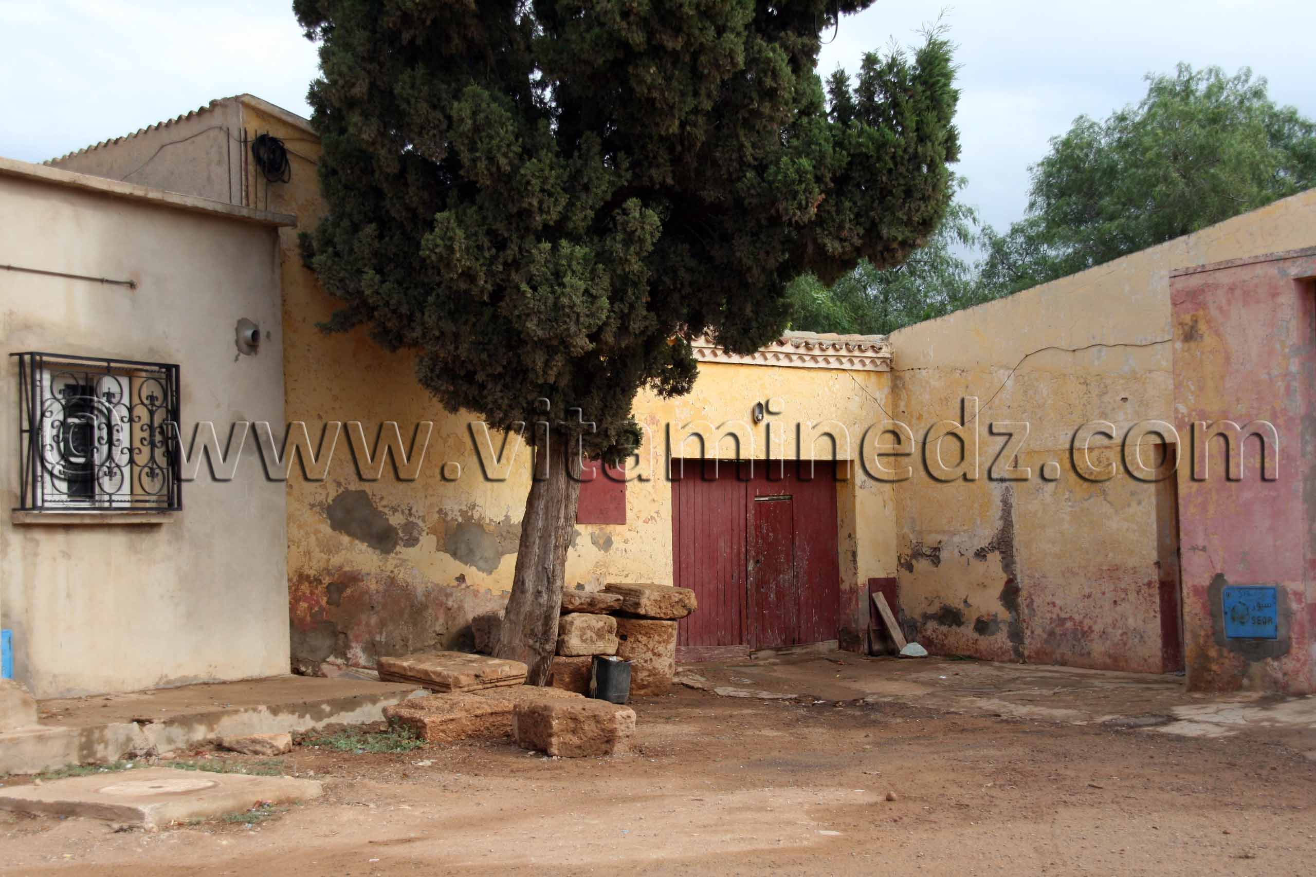 Portus Magnus (Bethioua, St Leu) ou ce qu'il en reste ... des pierres éparpillées