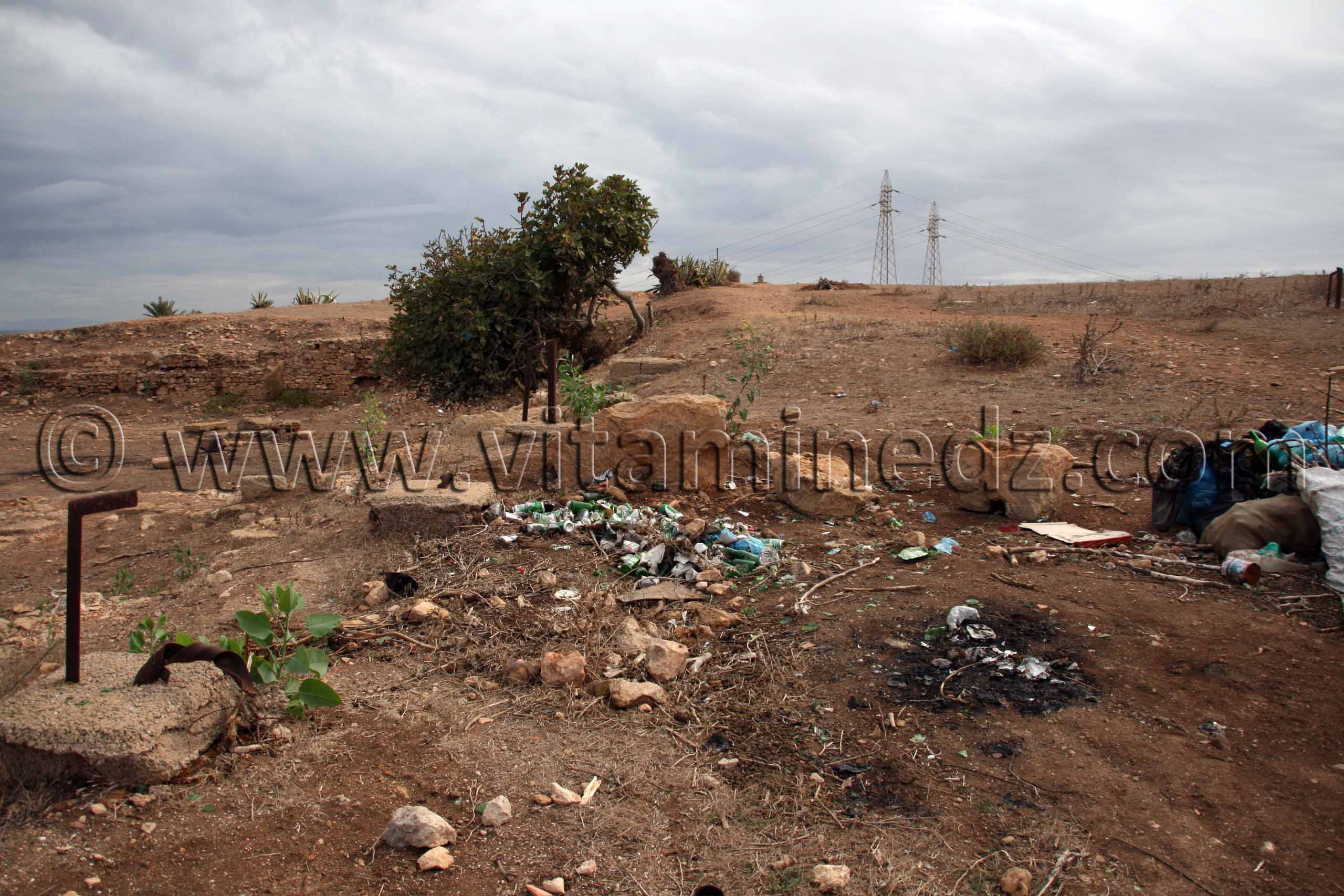 Portus Magnus (Bethioua, St Leu) réduite à une déchetterie