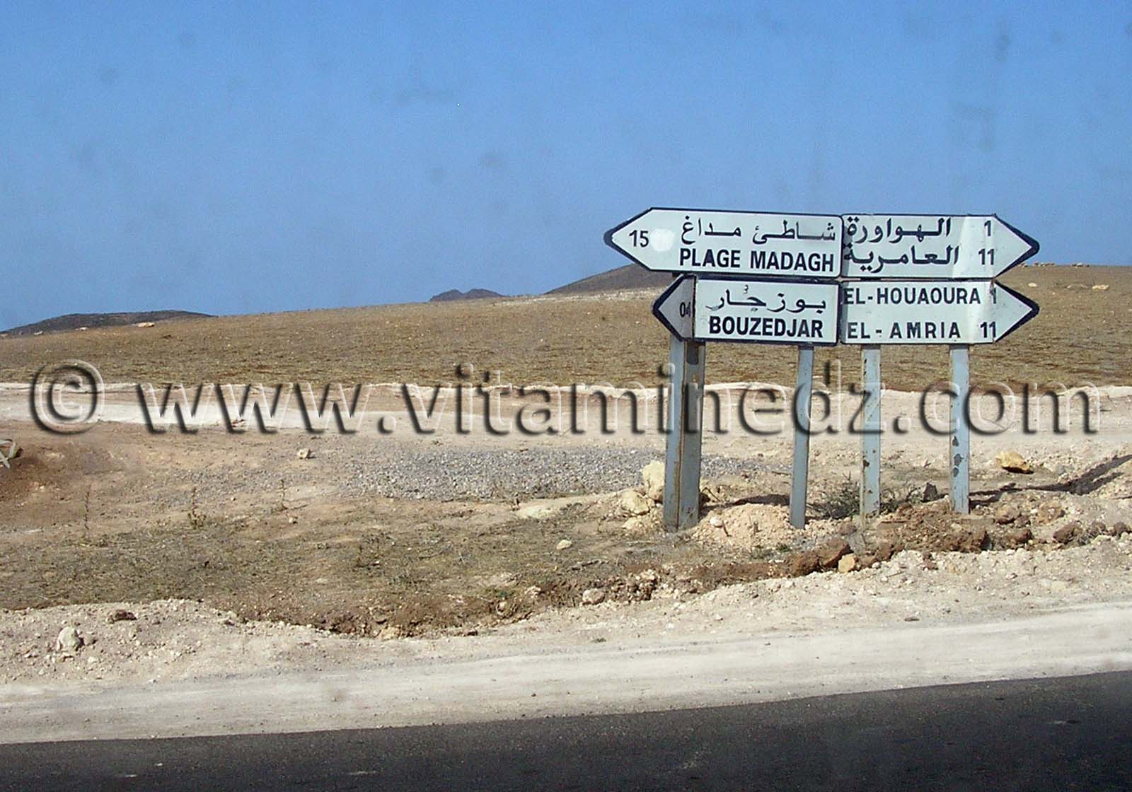 Direction Bouzedjar, Madagh, El Houaoura, El Amria (W. Ain Temouchent)