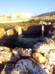 Tlemcen  Plateau, marabout et cimetière de Lalla Setti
