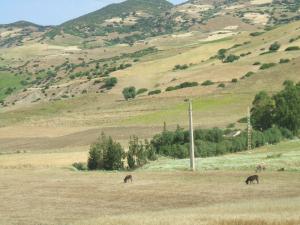 Commune Abou Al Hassan (W. Chlef)  Collines avoisinant le village