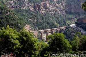Tenes (W.Chlef)  viaducs des chemins de fer Tenes-Chlef