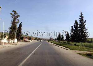 Hemis ou Hamis (Khamis voulant dire Jeudi) Commune de Bouzeghaia (W. de Chlef)