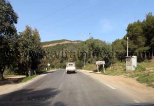 Région de Sidi Akkacha anciennement appelée Montenotte (W. Chlef)