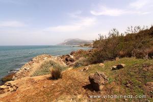 La nécropole phénicienne de Ténes (W. Chlef) tombeaux creusés dans la roche