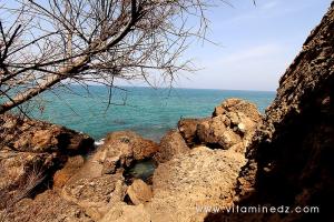 Ténes (W. Chlef) En bord de mer  La nécropole phénicienne, tombeaux creusés dans la roche