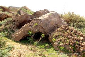 Ensevellie sous la boue, La nécropole phénicienne de Ténes (W. Chlef) tombeaux creusés dans la roche