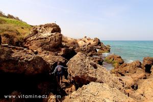 L\'accès difficile vers La nécropole phénicienne de Ténes (W. Chlef) tombeaux creusés dans la roche