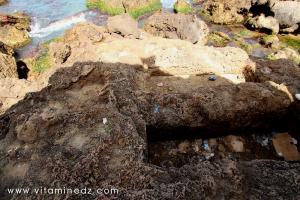 Tobeaux creusés dan les rochers (nécropole phénicienne de Ténes)