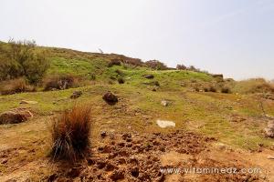 Gravats et remblais couvrant La nécropole phénicienne de Ténes (W. Chlef) tombeaux creusés dans la roche