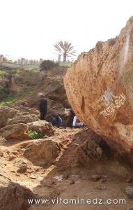 Le Bar tout va bien à Tenes