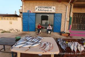 Poissonerie à Tenes (W. Chlef)