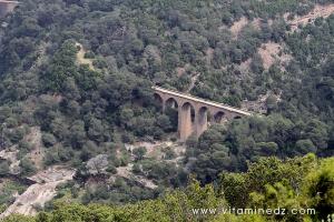 Ponts de la ville de Tenes, anciens chemins de fer aujourd\'hui sentiers pour les randonneurs