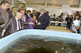 Le ministre de la Pêche l’a inauguré hier:  Un Salon du poisson du désert à Ouargla