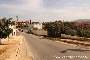 Tenes (W. Chlef) Rue menant vers les abattoirs
