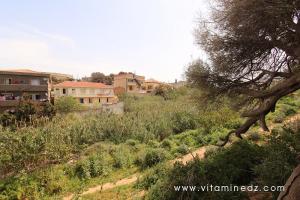 Tenes (W. Chlef) Le Oued évacuant les égouts de la ville