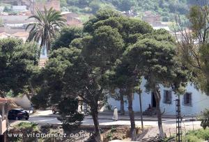 Entrée de Tenes Lahdar, (Vieux Tenes) Medina ou Casbah c\'est le quartier arabo-andaloux