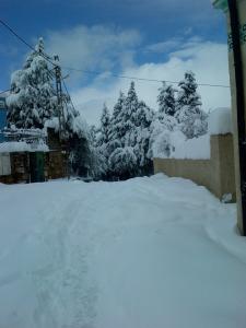 Le village sous la neige
