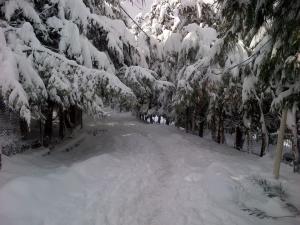Le village sous la neige - La petite Suisse de la Kabylie