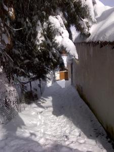Le village sous la neige - La beauté de la Kabylie