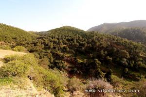 Tenes (W. Chlef) Djbel Kaisser et Oued Allalah