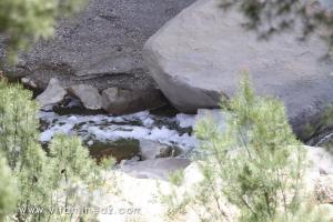 Tenes (W. Chlef) Oued Allalah et son lot de pollution
