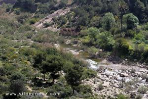 Tenes (W. Chlef) Oued Allalah