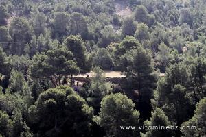 Tenes (W. Chlef) Djbel Kaisser et Oued Allalah