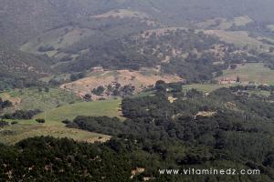 Tenes (W. Chlef) entourée de montagnes et forets