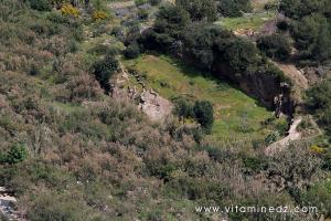 Tenes (W. Chlef) Djbel Kaisser et Oued Allalah