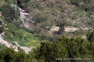 Tenes (W. Chlef) Pont romain sur Oued Allalah