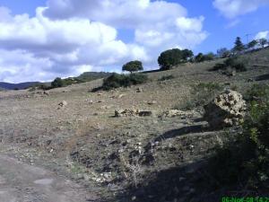 Arsenaria Ruines d'une colonie romaine