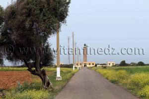 Phare Pointe Colombi, Commune El Mersa (W. Chlef)