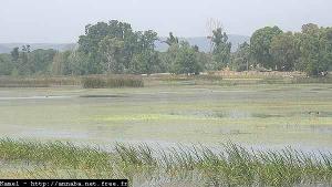 El-Kala - Trente millions de dinars pour aménager l’arboretum du lac Tonga